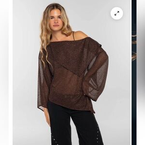 Sheer glittery off the shoulder top